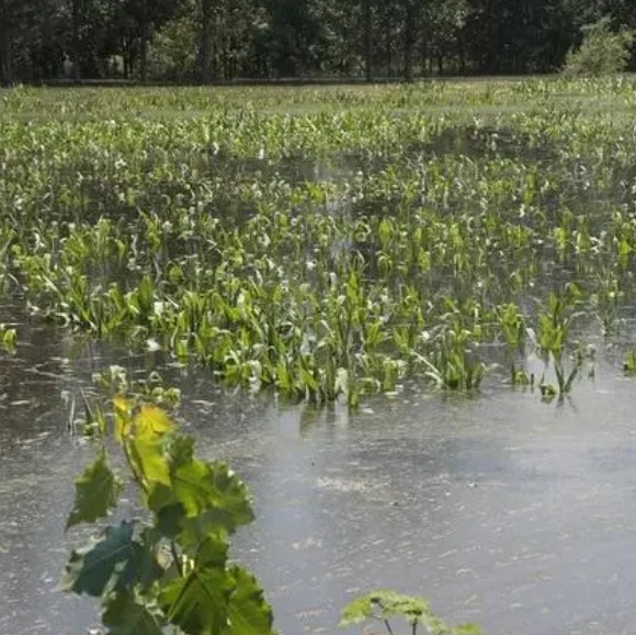 ����֮�� - dpzx.com