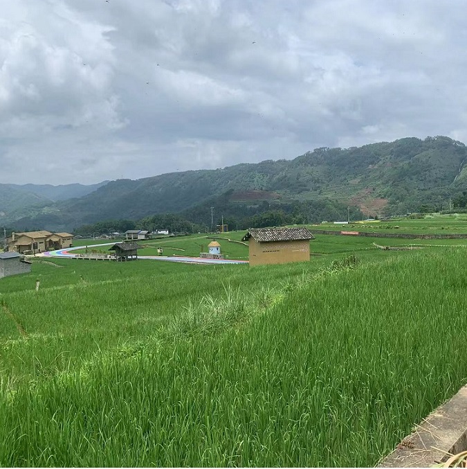 20230823155847_75425 µÂÆËÖ®ÐÇ - dpzx.com