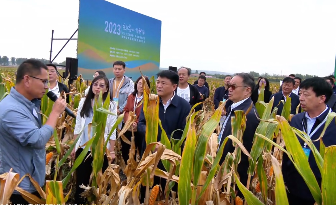 20231007090842_62701 德扑之星 - dpzx.com