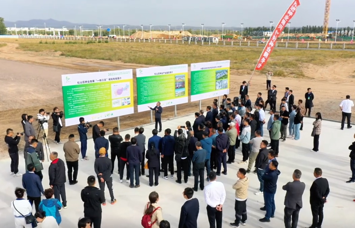 20231007090935_51226 德扑之星 - dpzx.com