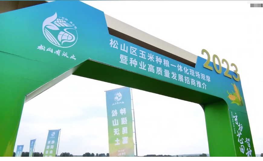 20231007091038_50288 德扑之星 - dpzx.com