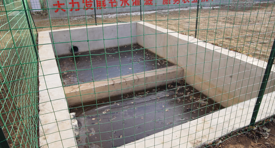 ����֮�� - dpzx.com