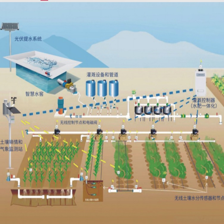 20240520101408_42406 德扑之星 - dpzx.com