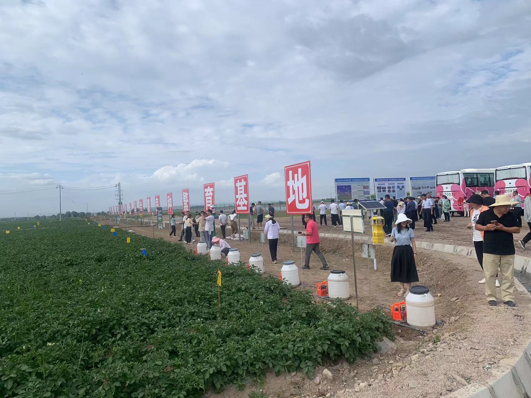 ����֮�� - dpzx.com