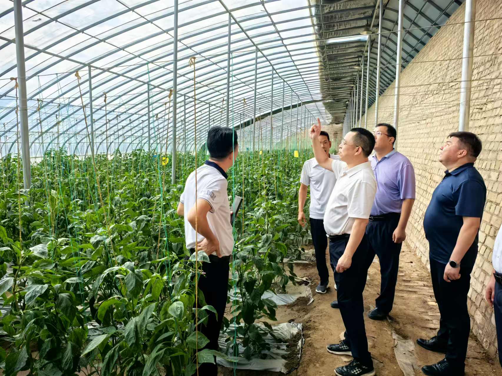 ����֮�� - dpzx.com