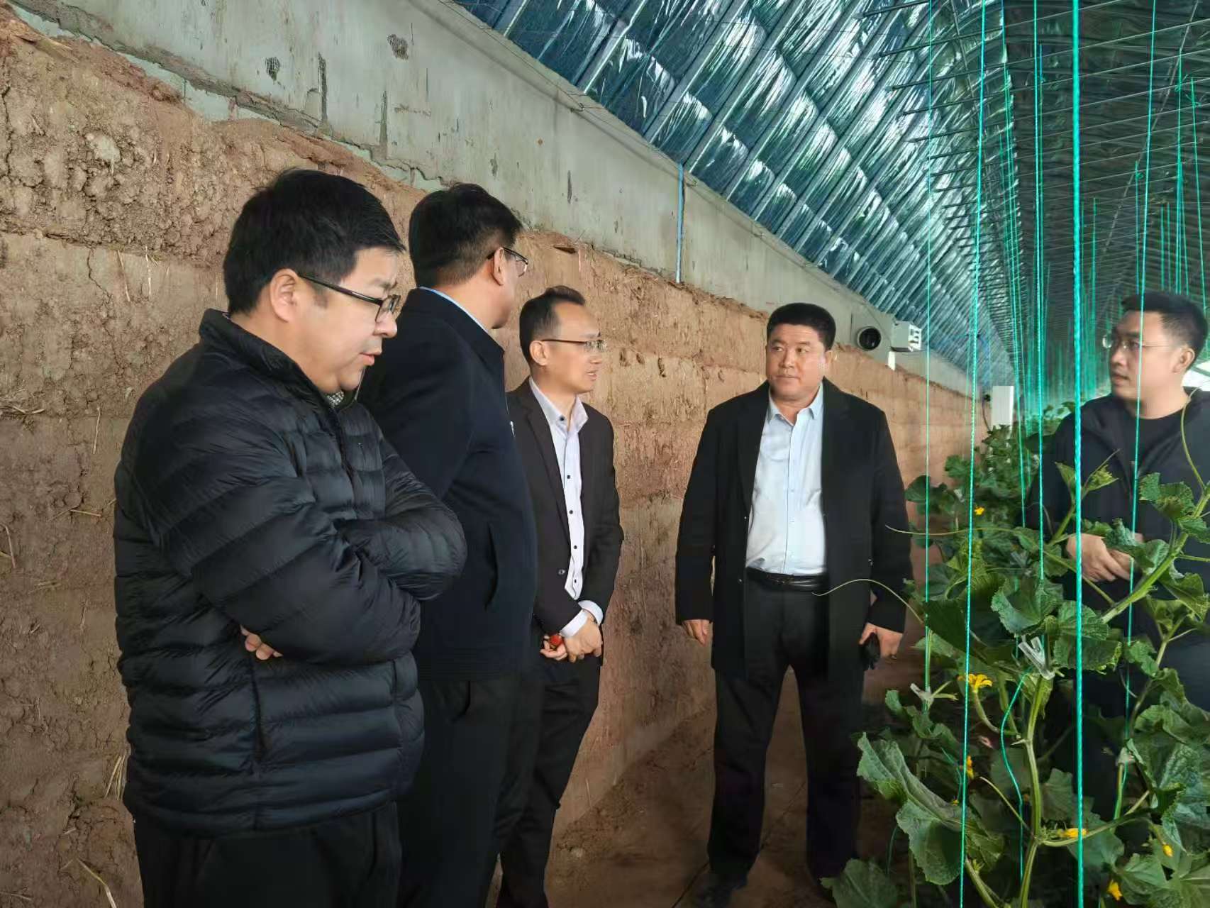 ����֮�� - dpzx.com