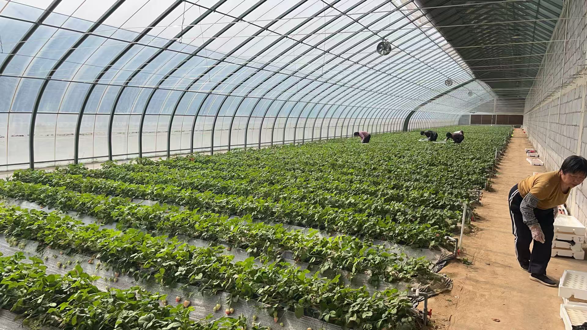 ����֮�� - dpzx.com