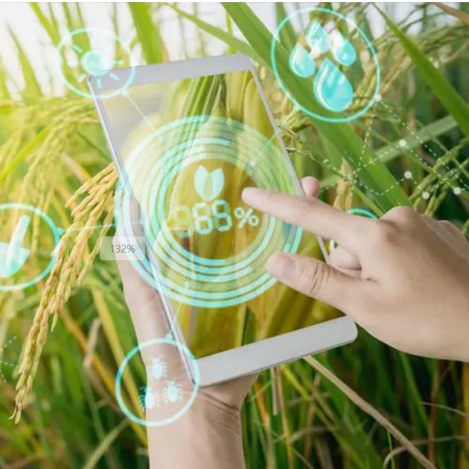 20250609095135_24488 µÂÆËÖ®ÐÇ - dpzx.com