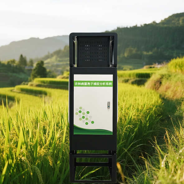 20250901151901_48787 µÂÆËÖ®ÐÇ - dpzx.com