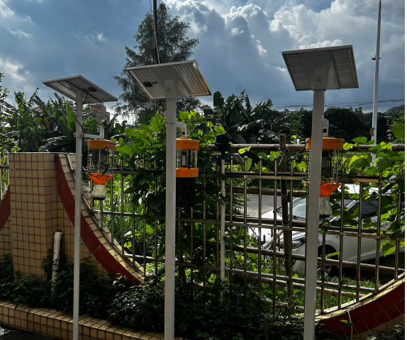 ����֮�� - dpzx.com