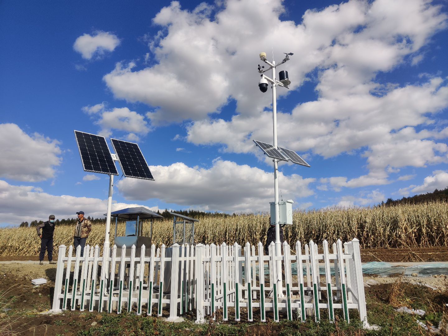 ����֮�� - dpzx.com