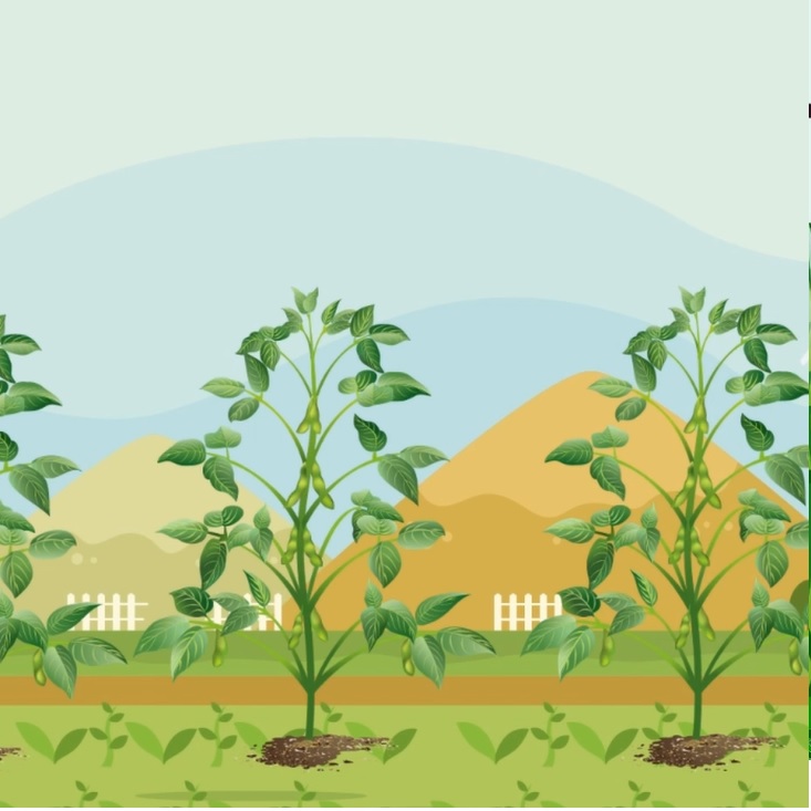 01kRj7cSGPtLFZ6Yx4Yx