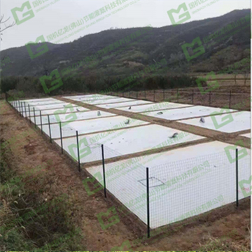 11WwqMgOkcHkJUgcX9hC