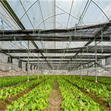 1I7zZy8oVD5IbWEICPmk