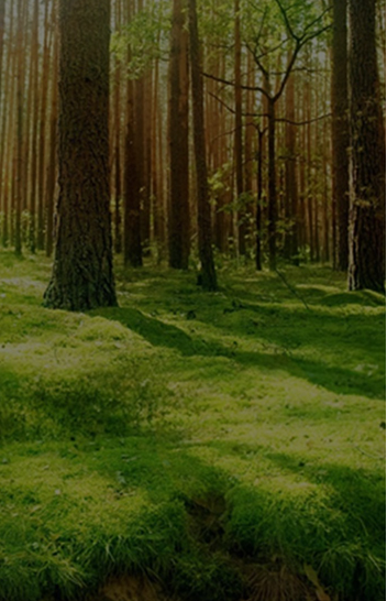 2gZCUkFmo9Vn8KnnKLL7