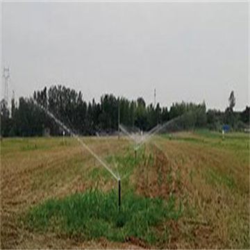 440u89ZktFpi7J6ORvqy