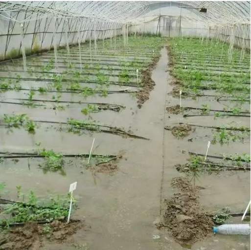 57Zyr0pY7fiSvVv0fYpL