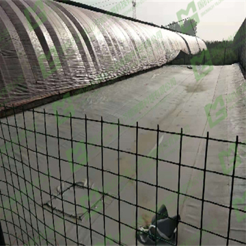 6jewfmJF9zf2WkFtbA9W