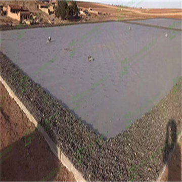 7NdrZjktNXHZpnpnrDch