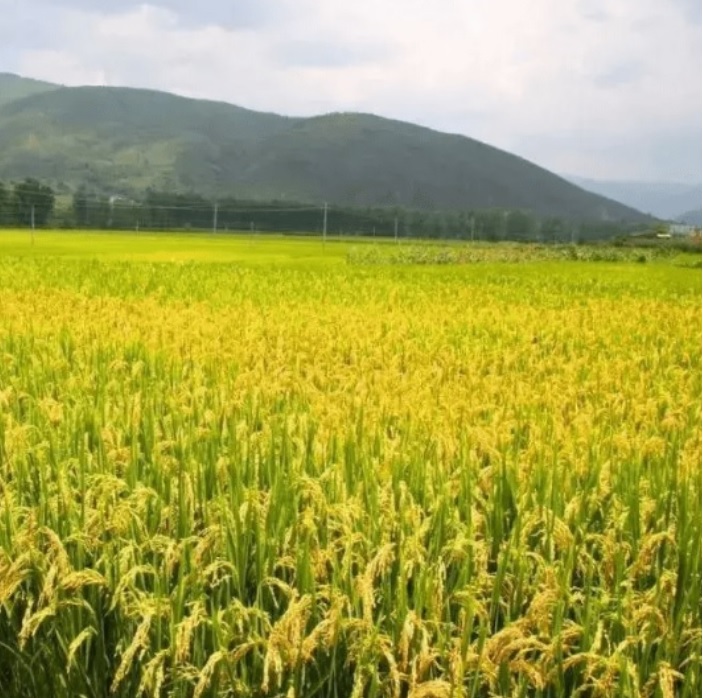 8CUwk0GiuSb8NSQM61Hf