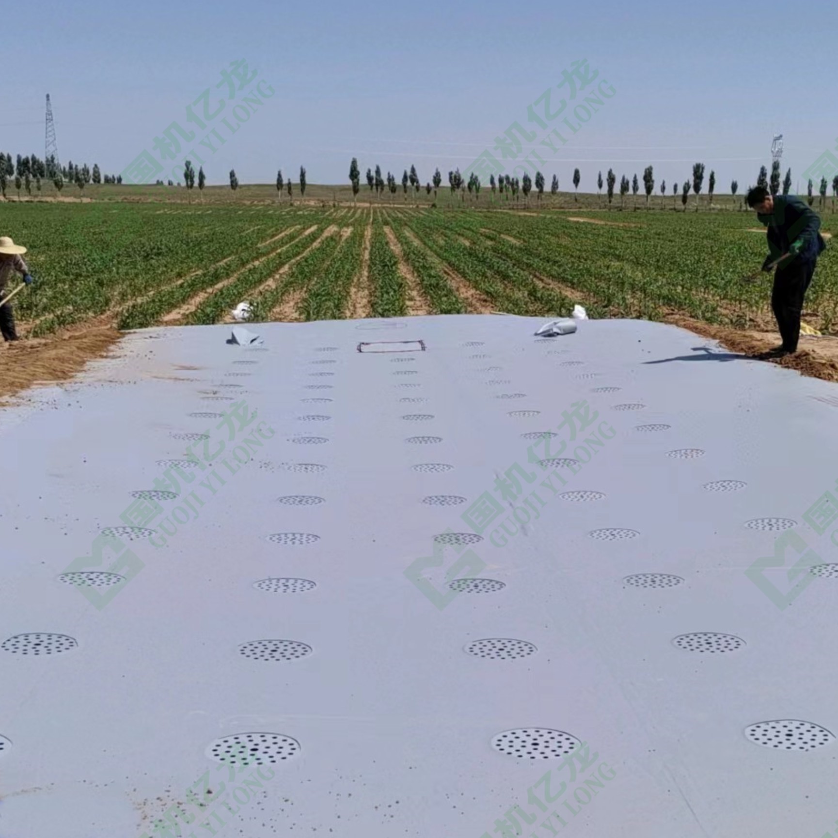 8dLqWfViqI9I7duIm6zw