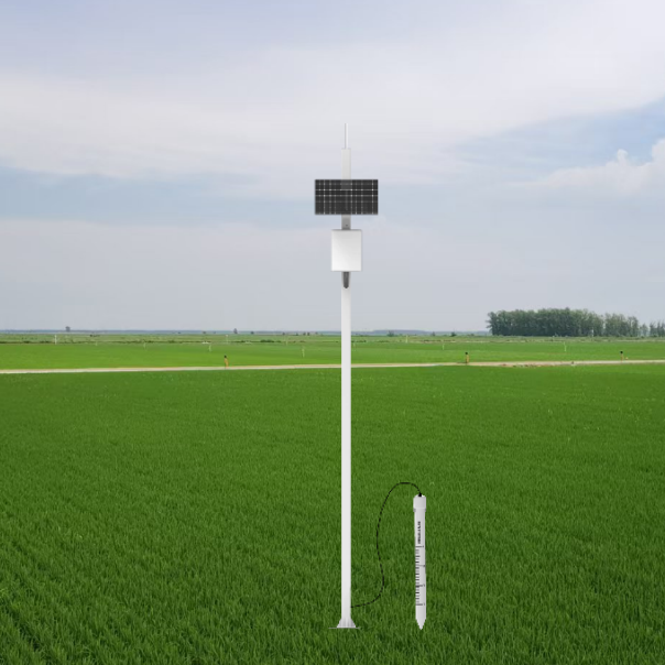 960rWxoaXLMsaofKWX3c