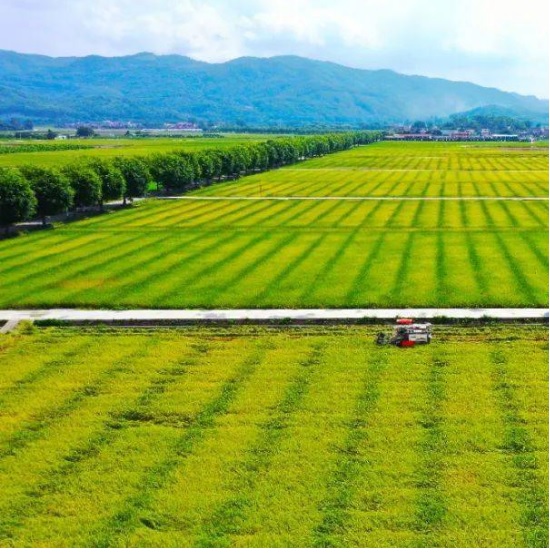 BA3UkzW5UEqcYtQiPSuB