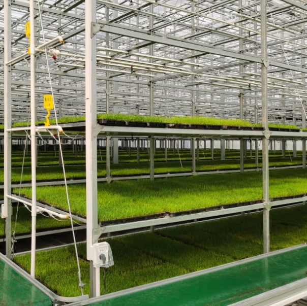 DOYhDf1rjuHps9ML9S6w