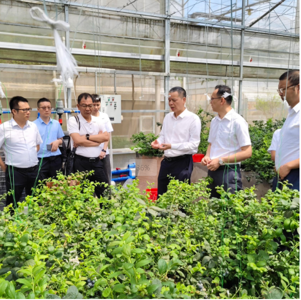 E2lJBkI163f2Bknlxchu