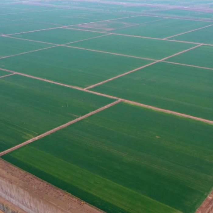 F3aHh2QgH9ikySJrCevX