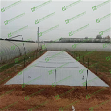 FDFpnUfrEUnWPDpH5bLu