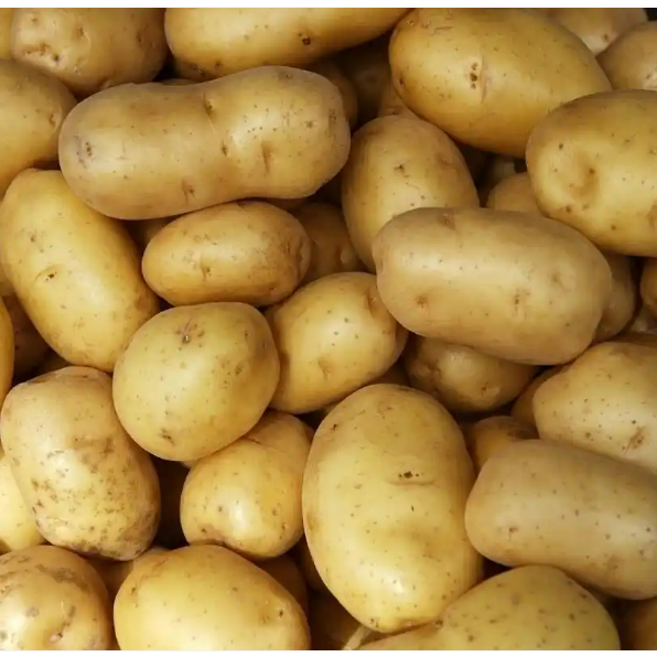 FKGHtzwP0fIDwjcbws9W