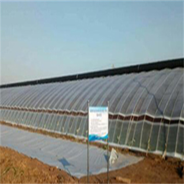 FleELCqo7dKCmbRYhdYs