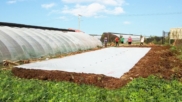 GKWVlcs5yPxANP32nclX