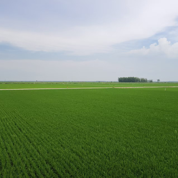 GMwF1H1CT8W7UWoILVOW