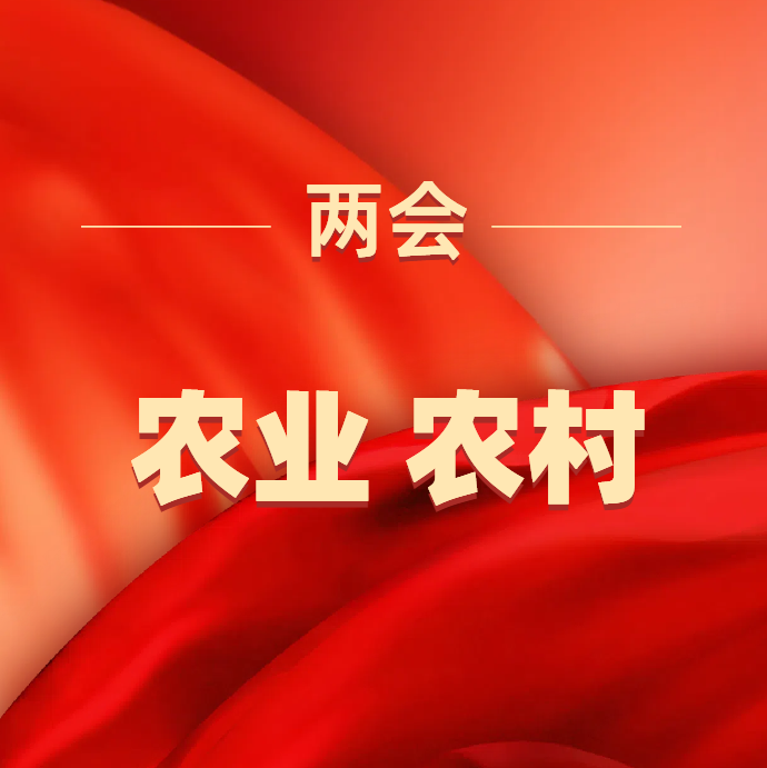 GsyyKNmKKIsVWiqfbo1X