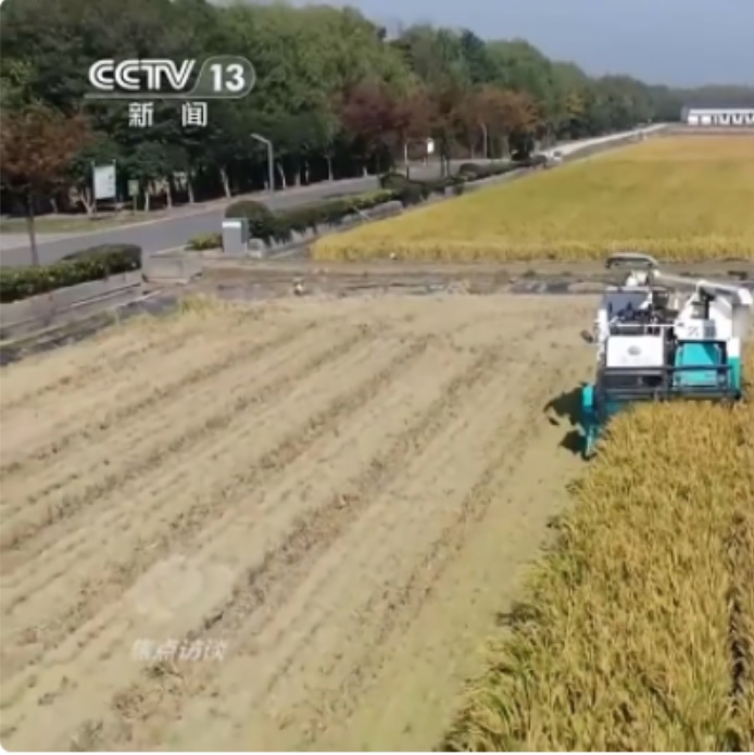 JYqDbNKwcwyMK0SDulxI