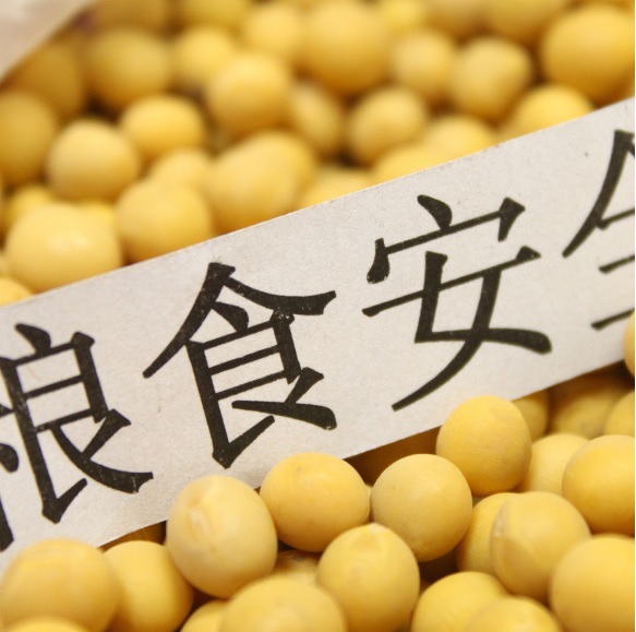 JyQBLajibuIYda92So1u