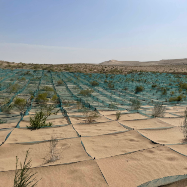 KInZYATvlY94yNjS6BTf