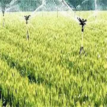 KlX3IQVp4QErh63XnY6a