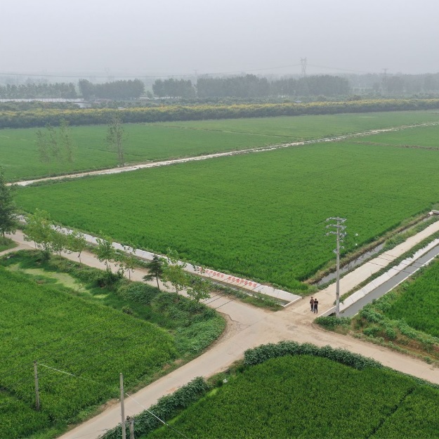 LztiCe1wg9sKrReV1CE6