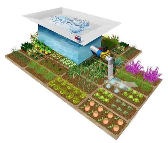 Mlx2f4w5QZAWaUoMnp74