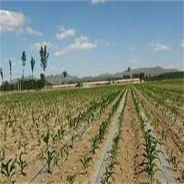 NK9PX97XsYouVlcB6C43