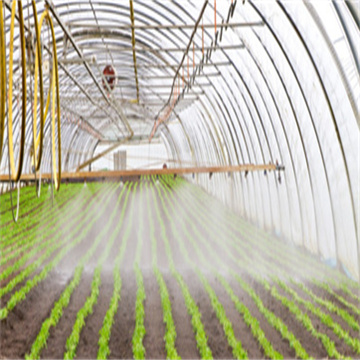 RXo3HkmvFqXXQwsTW3od