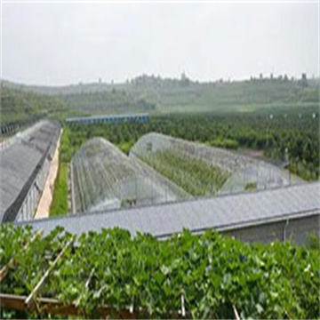 SQBtwb6Cs675WDIYVqtx