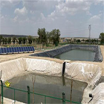 SVMtKPoXCuXppny59STD