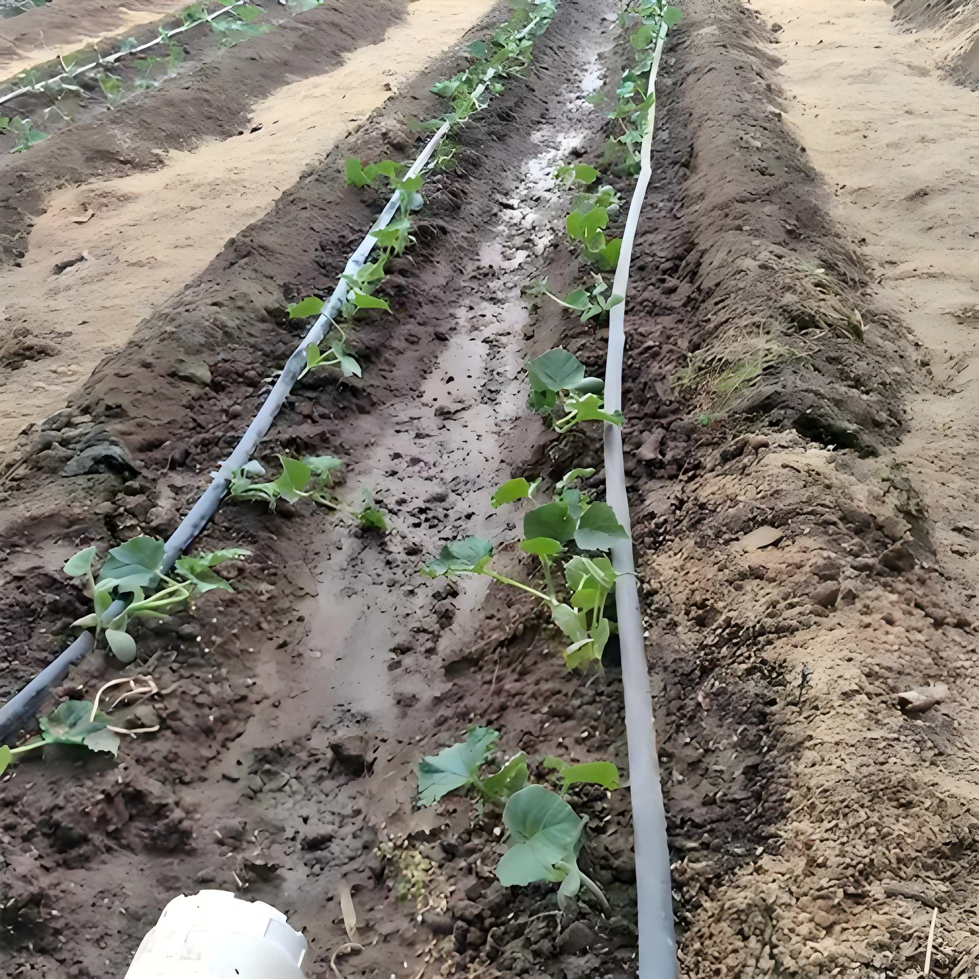 Sc2fpajqAheR0OeAyeMS