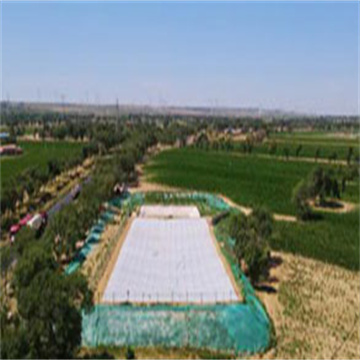 Slna1RinGAw53o2WWdTH