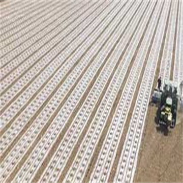 TH19BoUsnEPH4lvGd08D