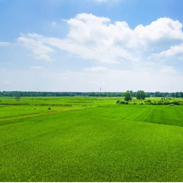 U61sP6dh9J8P86o2ShgH